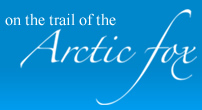 Sir Francis McClintock Explorer - Arctic Fox Exhibition, Louth County Museum